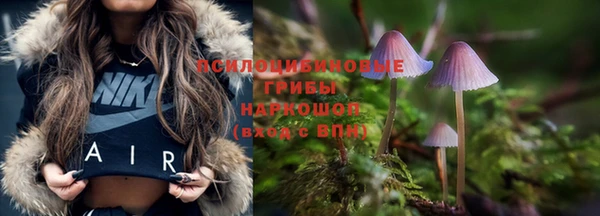 гидра Куйбышев