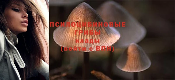 стафф Кулебаки