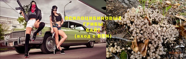 стафф Кулебаки