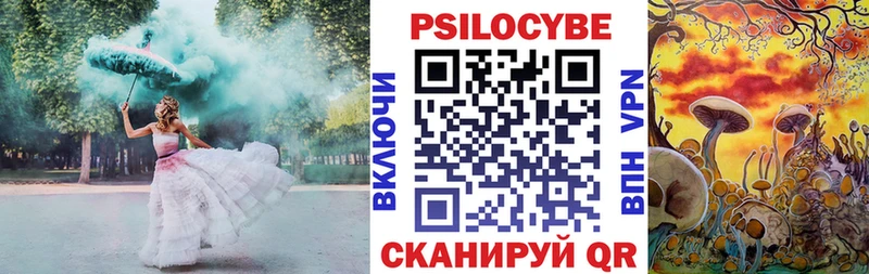 Псилоцибиновые грибы GOLDEN TEACHER  где можно купить наркотик  Цимлянск 