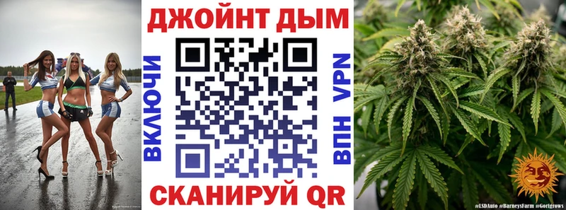 Конопля SATIVA & INDICA  где продают   Цимлянск 